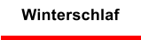 Winterschlaf