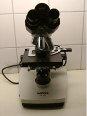 Kristina Bohr Tiermedizinische Fachangestellte