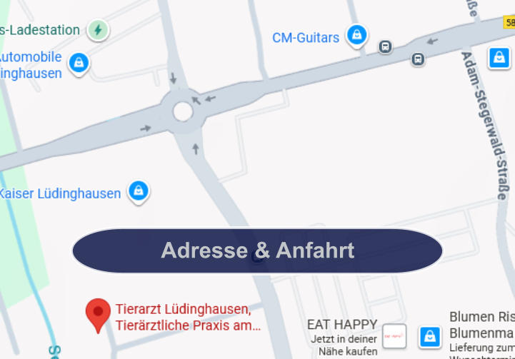 Adresse & Anfahrt