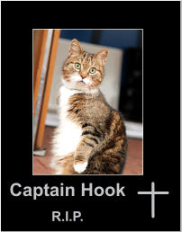 Captain Hook R.I.P.