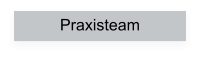 Praxisteam